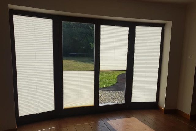 37001099_1775642969157107_8772827201545437184_o